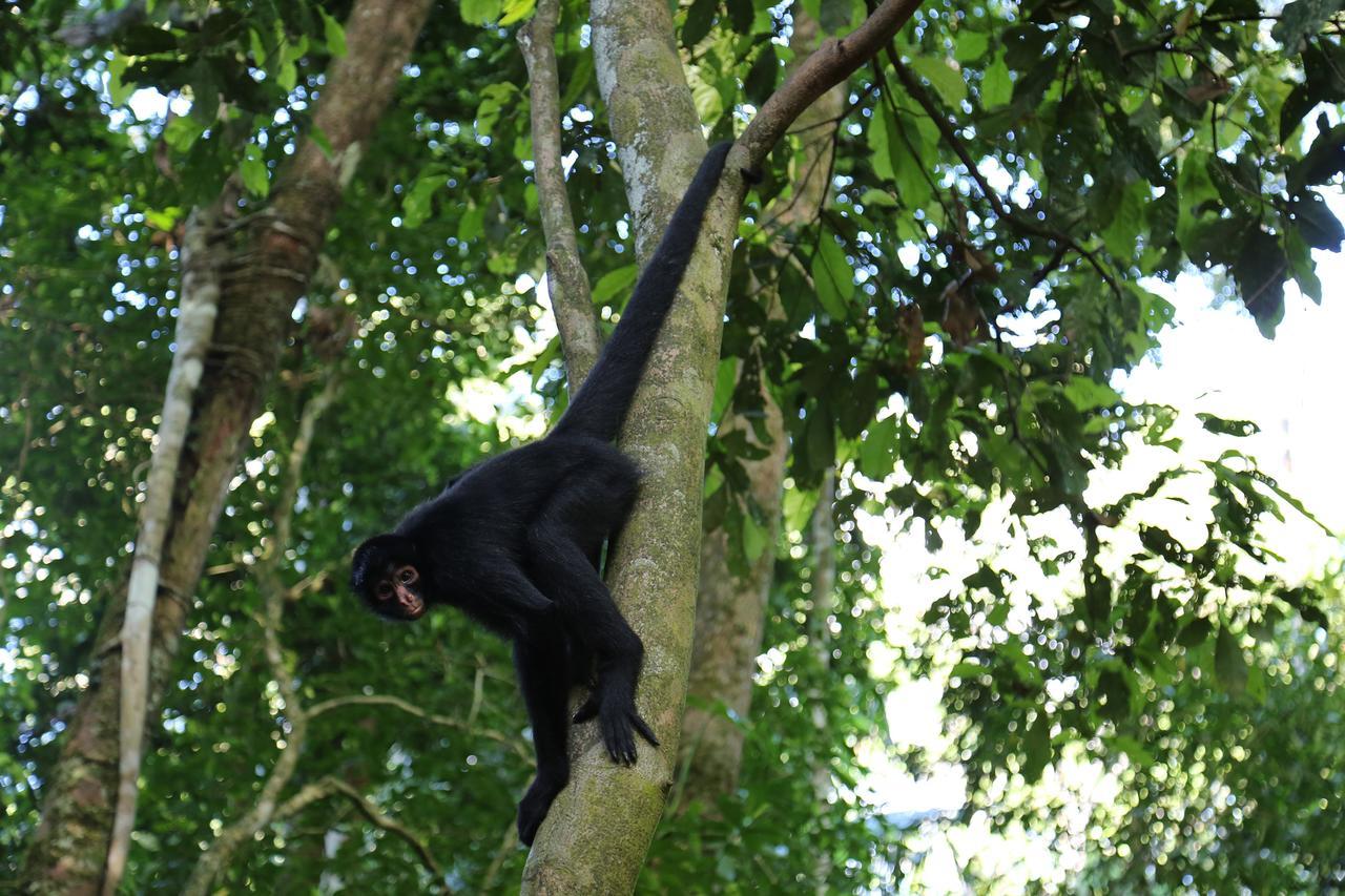 Ecoamazonia Lodge Puerto Maldonado Exteriör bild