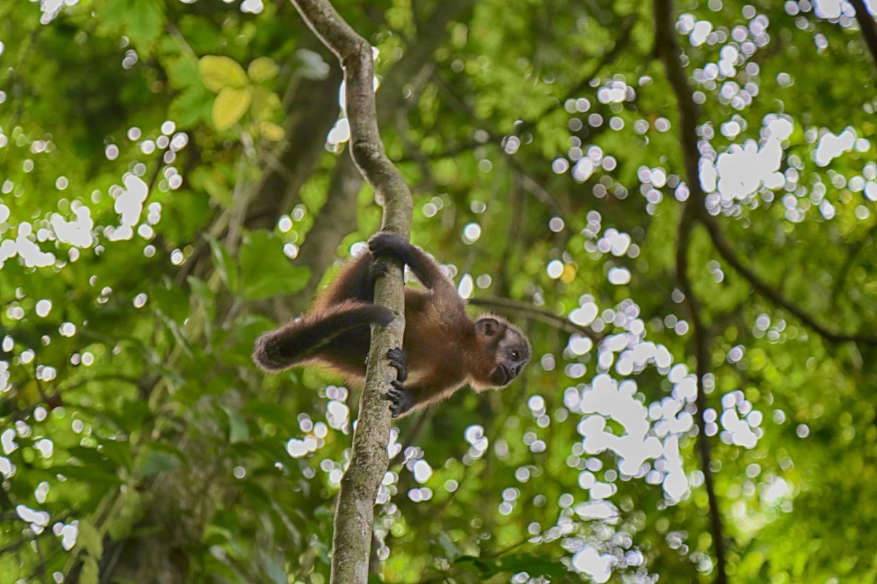 Ecoamazonia Lodge Puerto Maldonado Exteriör bild